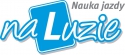 logo Remigiusz Tuz RT GUN-Agencja Szkoleniowa, Szkoła Nauki Jazdy "Na Luzie"