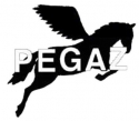 logo Ośrodek Szkolenia Kandydatów na Kierowców "PEGAZ" Zbigniew Muszyński