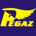 logo Jerzy Skrodziuk Centrum Edukacyjne "PEGAZ"