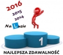 logo Szkoła Nauki Jazdy Na Luzie Marek Żebrowski