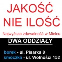 logo Ośrodek Szkolenia Kierowców TAZZ Grzegorz Białek