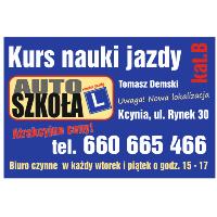 logo Auto-Szkoła Nauka Jazdy - Tomasz Demski