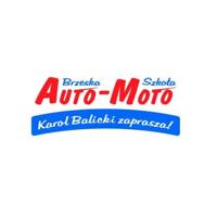 logo Brzeska Auto - Moto Szkoła 