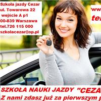 cezar-zdjecie-392-thumb