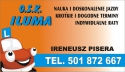 logo Iluma Ireneusz Pisera