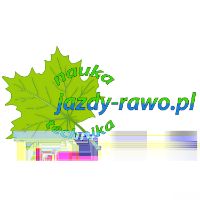 logo Nauka i Technika Jazdy Rawo
