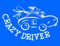 logo Nauka Jazdy CRAZY DRIVER Anna Stortz-Skręty