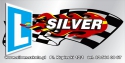 logo Silver. Centrum Szkolenia