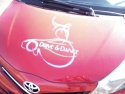 logo SUPER DRIVE & DANCE Spółka z o.o.